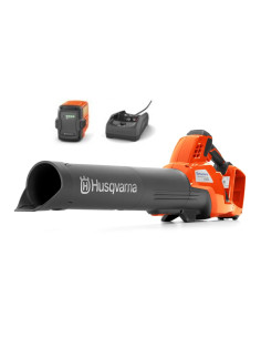 Pack souffleur 230IB + batterie + chargeur