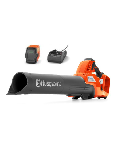 Pack souffleur 230IB + batterie + chargeur