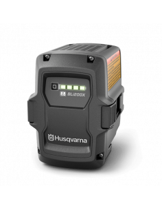 Batterie BLi200X